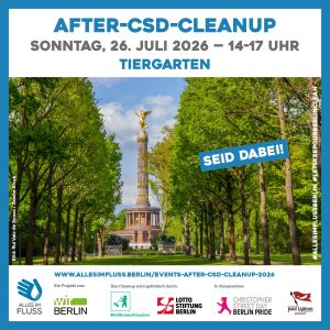 After-CSD-Cleanup